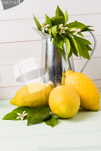 Image of Limes and vintage metal retro watering cans