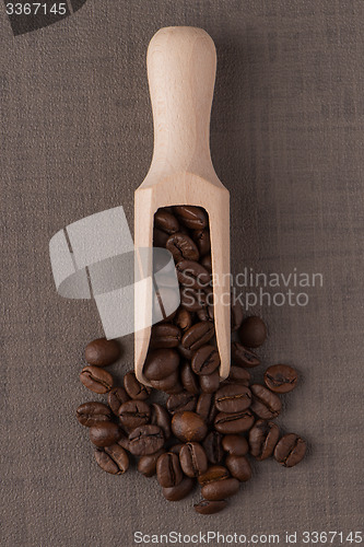 Image of Wooden scoop with coffee beans