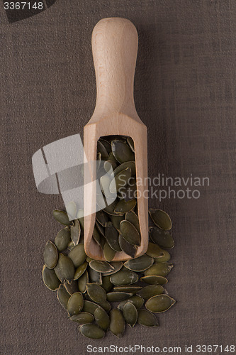 Image of Wooden scoop with pumpkin seeds