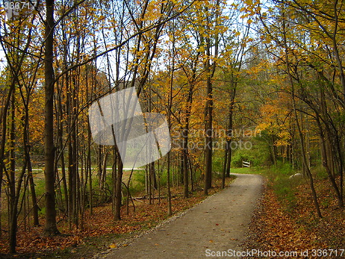 Image of Autumn Trail