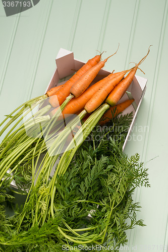 Image of Carrots on wooden table