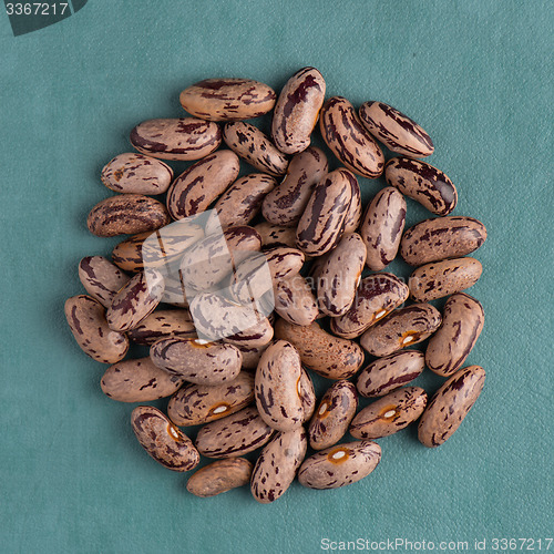 Image of Circle of pinto beans