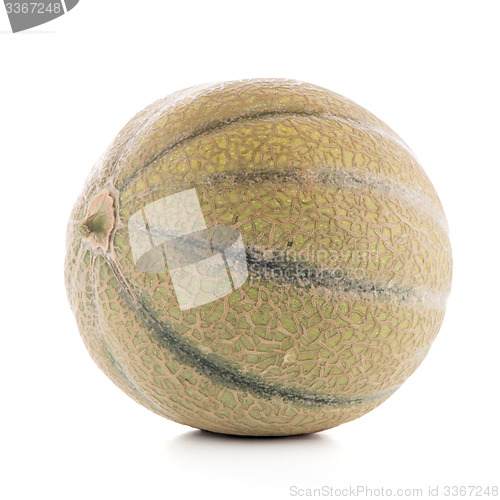 Image of Honeydew melon