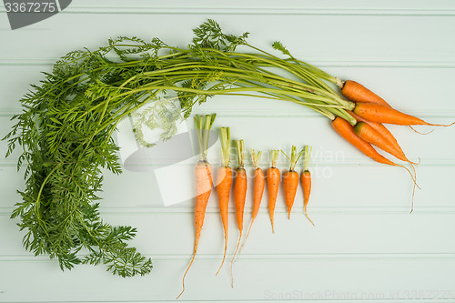 Image of Carrots on wooden table