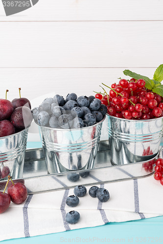 Image of Plums, red currants and blueberries in small metal bucket