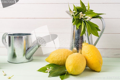 Image of Limes and vintage metal retro watering cans