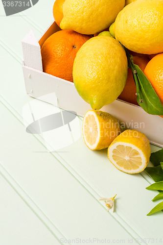 Image of Citrus fresh fruits