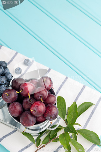 Image of Plums in small metal bucket