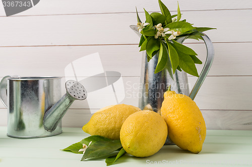 Image of Limes and vintage metal retro watering cans