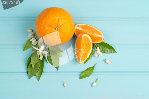 Image of Citrus fresh fruits