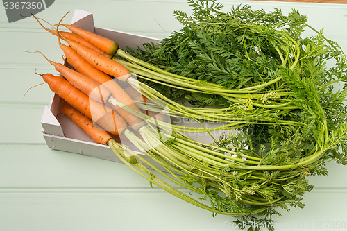 Image of Carrots on wooden table