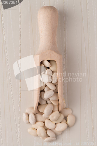 Image of Wooden scoop with white beans