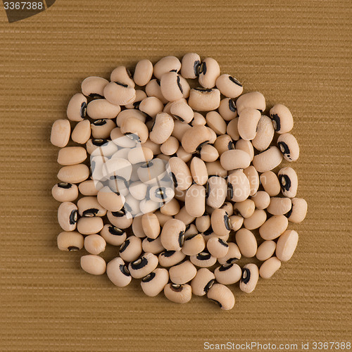 Image of Circle of white beans