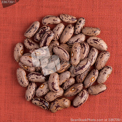 Image of Circle of pinto beans