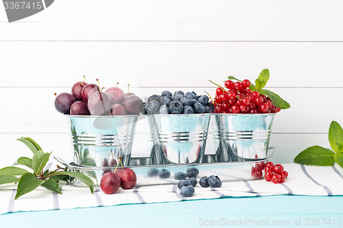Image of Plums, red currants and blueberries in small metal bucket