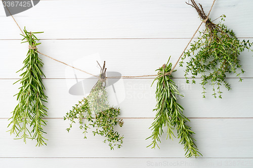 Image of Single twigs of Thyme and Rosemary