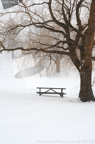 Image of Picnic table in snow under a tree