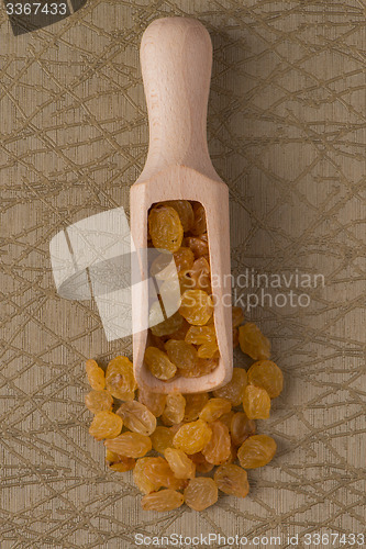 Image of Wooden scoop with golden raisins