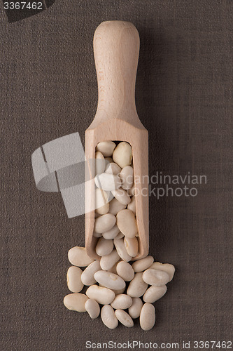 Image of Wooden scoop with white beans