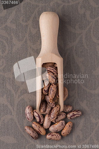 Image of Wooden scoop with pinto beans