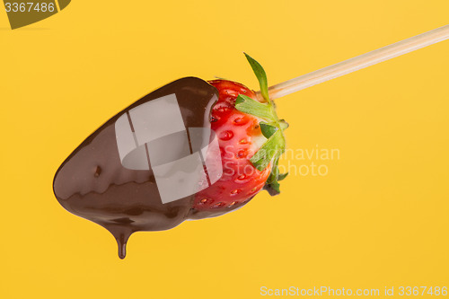 Image of Strawberry and chocolate