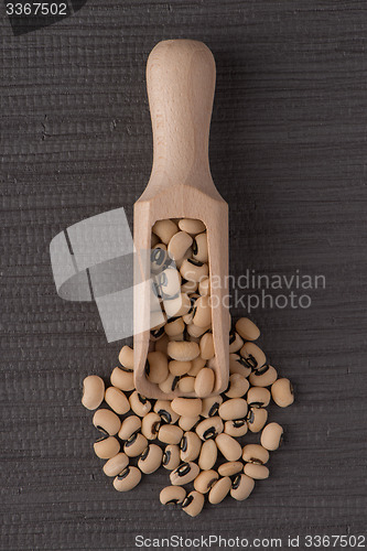 Image of Wooden scoop with white beans