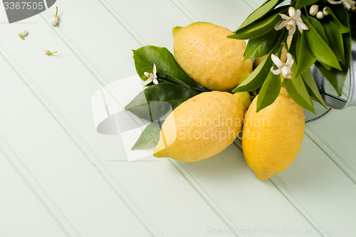 Image of Limes and vintage metal retro watering cans