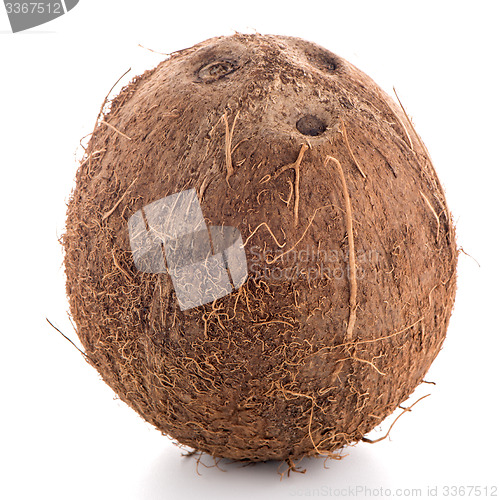Image of Coconut