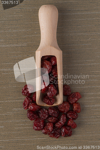 Image of Wooden scoop with dried cranberries
