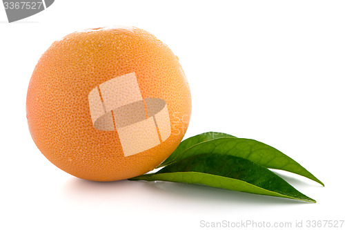 Image of Ripe red grapefruit