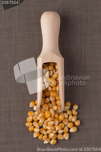 Image of Wooden scoop with corn