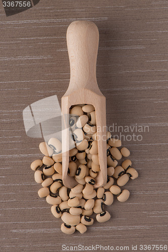 Image of Wooden scoop with white beans