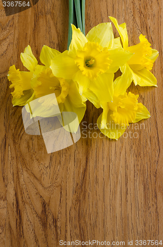 Image of Jonquil flowers