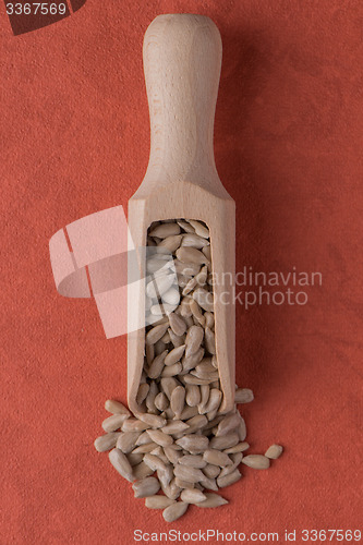 Image of Wooden scoop with shelled sunflower seeds