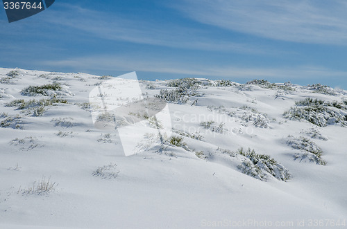 Image of Landscape of Serra da Estrela