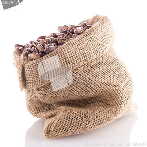 Image of Pinto beans bag