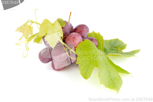 Image of Bunch of red grapes