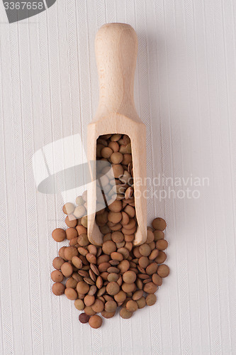 Image of Wooden scoop with lentils