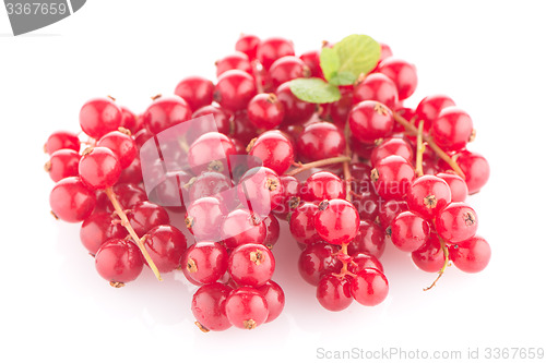 Image of Red Currants