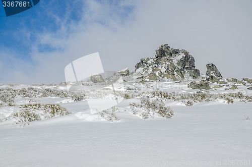 Image of Landscape of Serra da Estrela