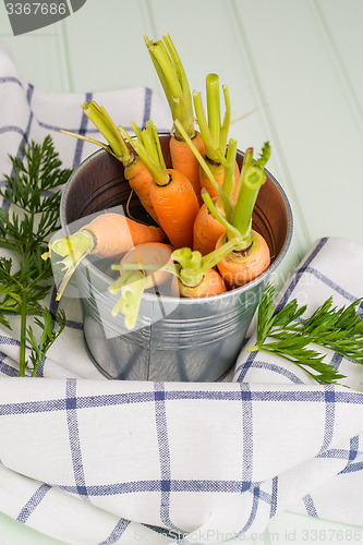Image of Carrots on wooden table