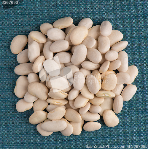Image of Circle of white beans