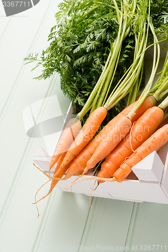 Image of Carrots on wooden table