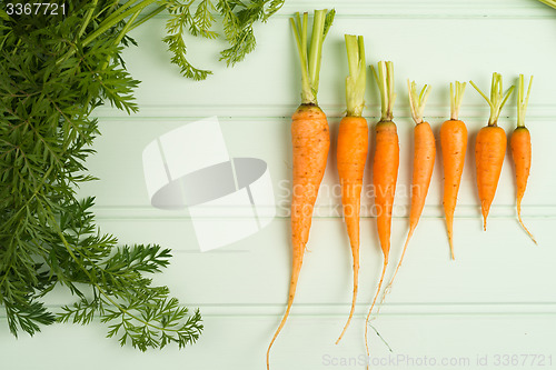 Image of Carrots on wooden table