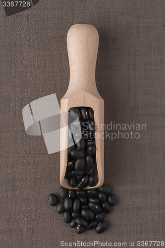 Image of Wooden scoop with black beans