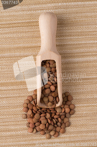 Image of Wooden scoop with lentils