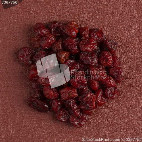 Image of Circle of dried cranberries
