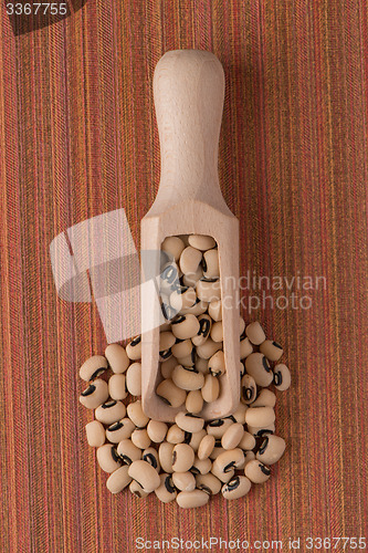 Image of Wooden scoop with white beans