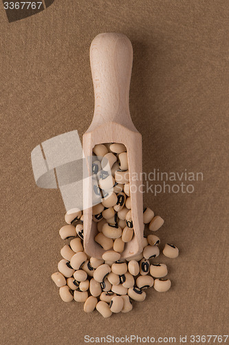 Image of Wooden scoop with white beans