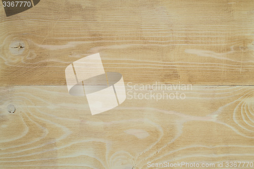 Image of Green Wood Background